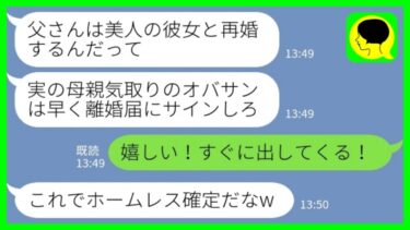 【LINE】誕生日プレゼントに離婚届を突き付けてきた夫→すると夫の前妻の息子「オバサン捨てられてやんのw」私「嬉しい！すぐに出してくる！」→ その後、ホームレス寸前の息子から泣きつかれた理由がwww【ミドリのネタ帳】