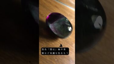 【超美麗】私の石を見てくれ #shorts【毎日やっちったカーニバル】