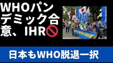 緊急LIVE 議連アドバイザーの方々と。WHOパンデミック合意、IHRの危険性。日本もWHO脱退一択。健全な新国際保健組織へ。　翌日解説　5/29【スカッと生活】