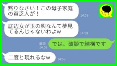 【LINE】医者一族への結婚の挨拶で私を金目当てと決めつけ水をぶっかけてきた婚約者の母「母子家庭の貧乏人がw」→婚約破棄後、私の正体を知った姑から大慌ての連絡【総集編】【ミドリのネタ帳】