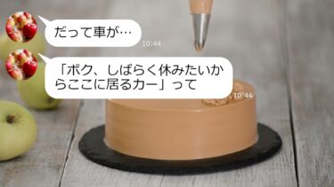 【LINE】私が借りてる駐車場に1か月無断駐車して海外旅行に行ったママ友→帰国時、車に仕掛けれたトラップに気づいた時の反応がｗ【総集編】【LINEサロン】