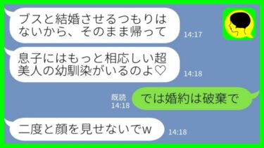 【LINE】結婚挨拶に婚約者の美人の幼馴染を勝手に同席させた姑「ブスと結婚させるつもりはないから帰れ！」私「では婚約は破棄で」→数ヶ月後、姑が大慌てで謝ってきた理由がwww【ミドリのネタ帳】