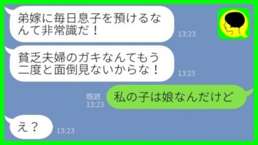 【LINE】突然弟からブチギレ連絡「弟嫁に毎日息子を預けるなんて非常識だろ！」私「私の子は娘なんだけど…」→弟夫婦が預かっていた子供の正体が…【総集編】【ミドリのネタ帳】