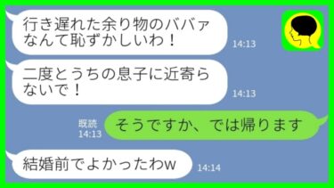 【LINE】結婚の挨拶で私が10歳年上だと知った婚約者の母親が水をぶっかけた「行き遅れ余り物のババァは息子に近寄るな！」私「そうですか、では帰ります」→その後、母子揃って結婚を懇願してきた理由がwww【ミドリのネタ帳】