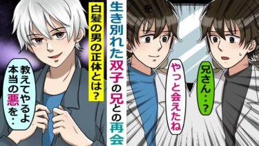 生き別れた双子の兄との再会「君の力を貸して欲しい」→白髪の男の正体と親友との決別！【スカッと総集編】【知人のLINE物語】